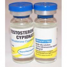 Testosterone Cypionate 250 10 Ml 250 Mg Euro Pharmacies
